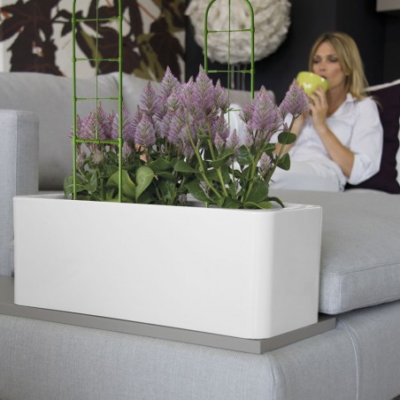 395158 Soporte forma enrejado para bricolaje Marco de plantas trepadora 60x14cm