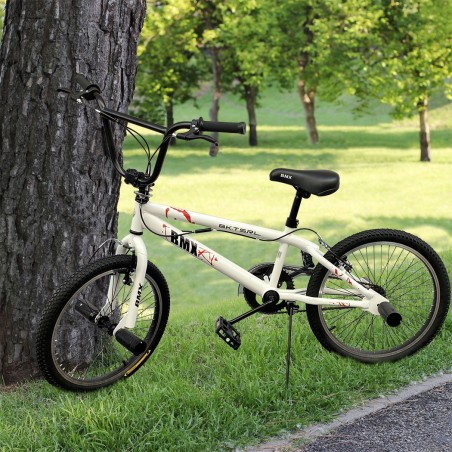Bicicleta tamaño 20'' SPOKES WHEEL FreeStyle BMX puente del marco en acero