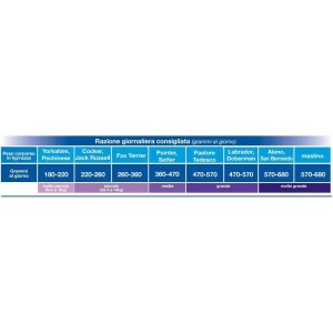 007672 Monge special dog premium quality  Puppy y Junior... 2