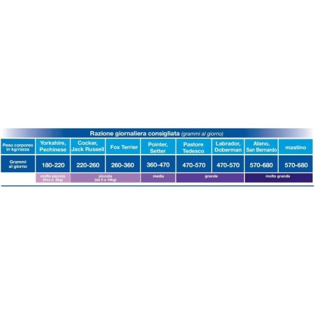 007672 Monge special dog premium quality  Puppy y Junior pollo y arroz 4 kg