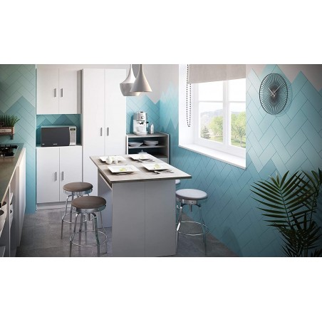 249537 Armario móvil de 2 puertas y 4 baldas Blanco en Melamina 59x37x180cm