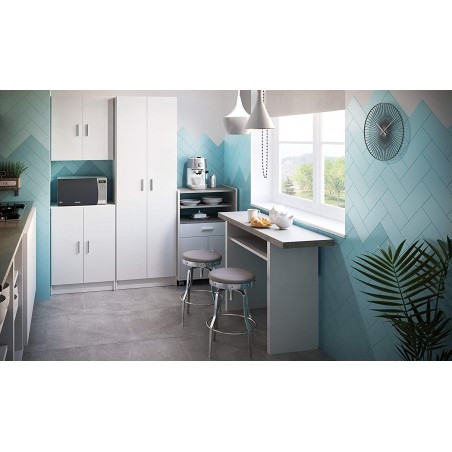 251844 Armario bajo multiusos con 2 puertas y en madera color blanco 59x37x80cm