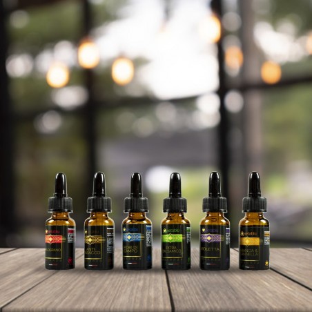 593605 Set de 6 esencias Setablu para ambientes variados para aromatizar 10 ml