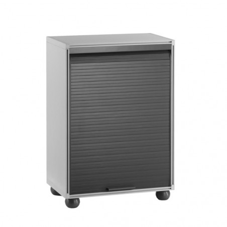 813008 Armario de PVC contrapuerta vertical 2 estanterías Ideal Garaje u Oficina