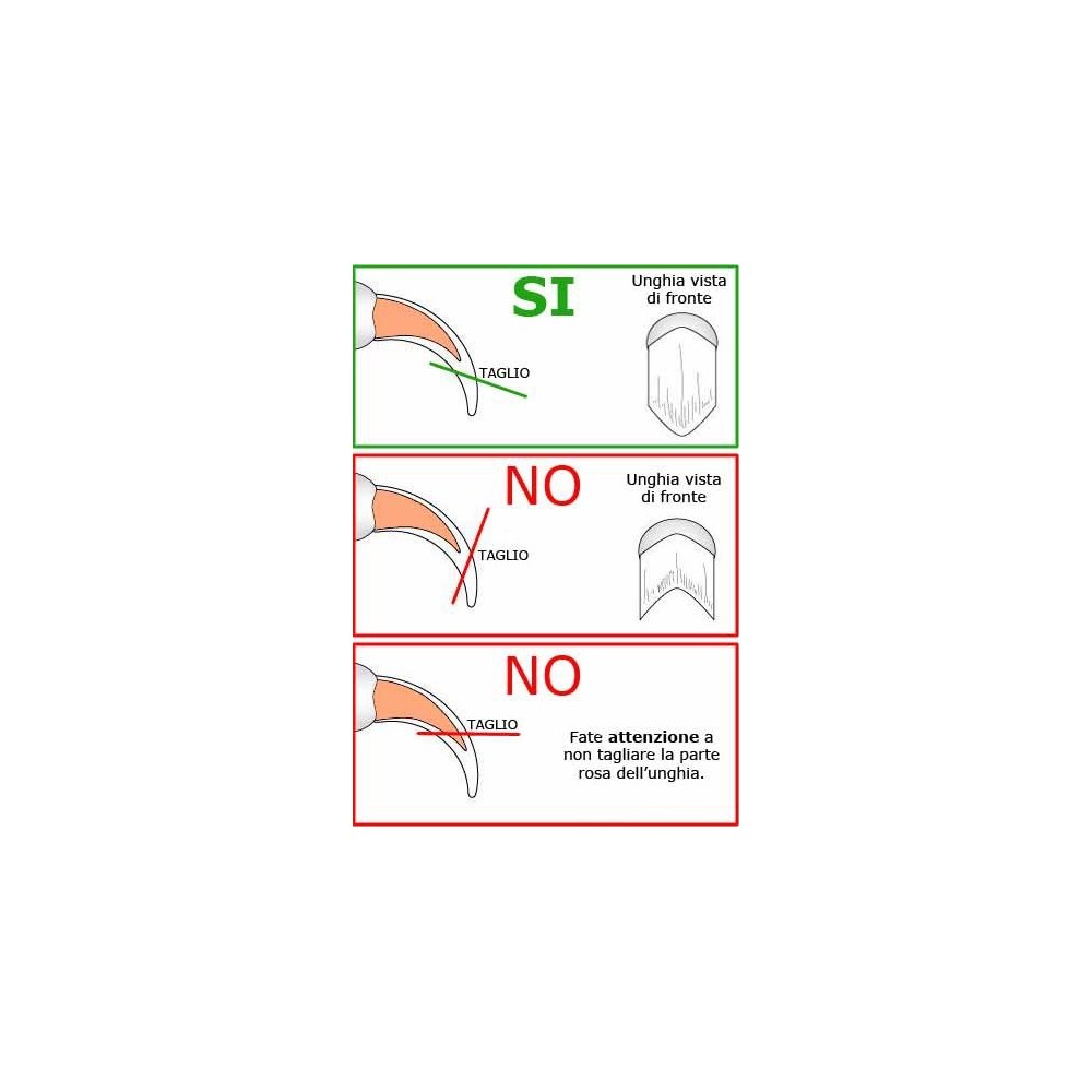 Cortaúñas de acero para animales sirve para los...