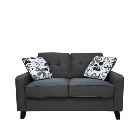 DIM216 Sofá Fantasy 2 plazas tapizado en tela y 2 cojines desenfundables