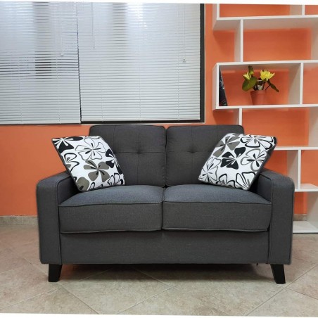 DIM216 Sofá Fantasy 2 plazas tapizado en tela y 2 cojines desenfundables