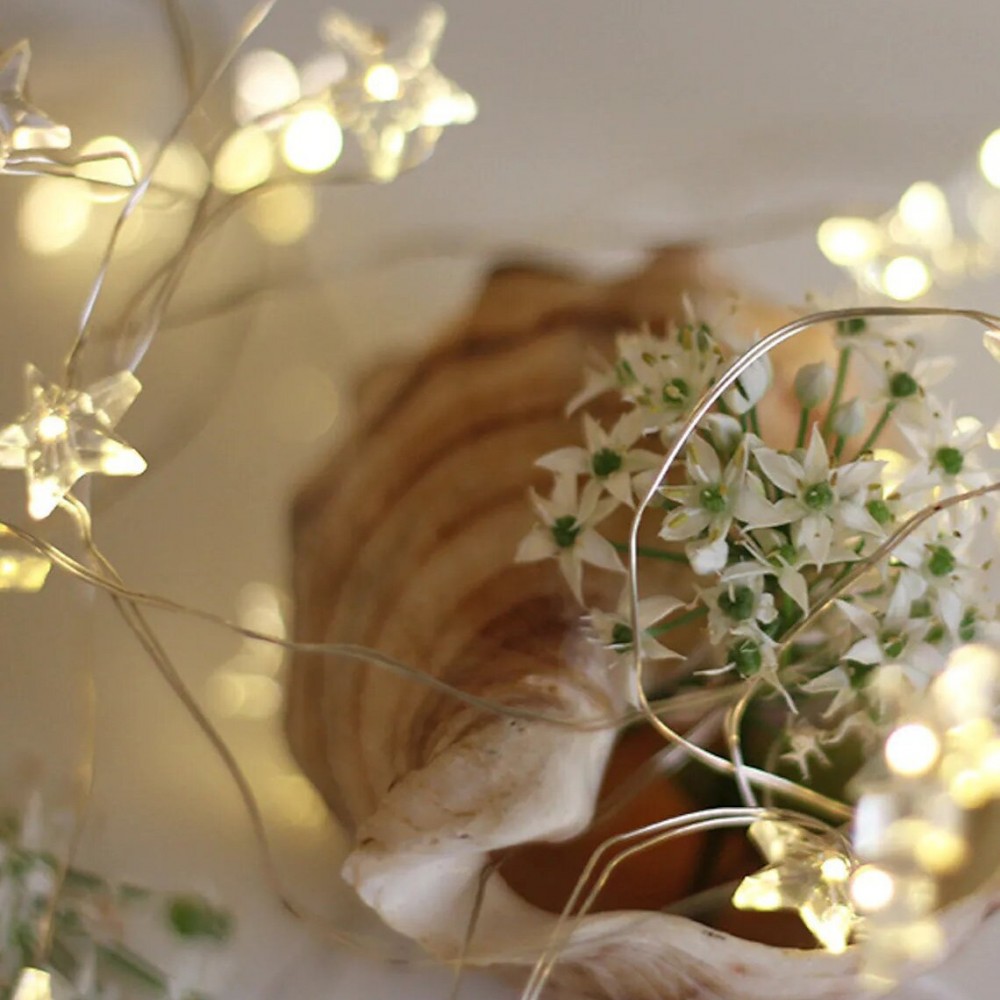 561081 Serie de 50 LED LIGHT CHRISTMAS INSIDE...