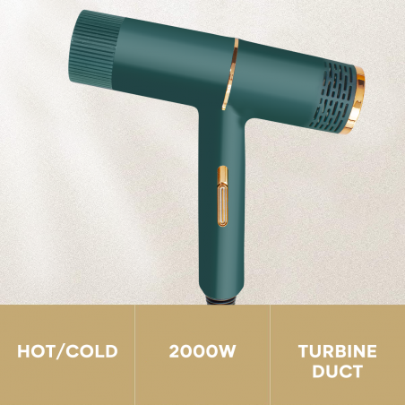 Secador de pelo profesional de bajo ruido de 2000 W pelo seco en 3-5 minutos