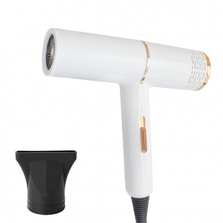 Secador de pelo profesional de bajo ruido de 2000 W pelo seco en 3-5 minutos