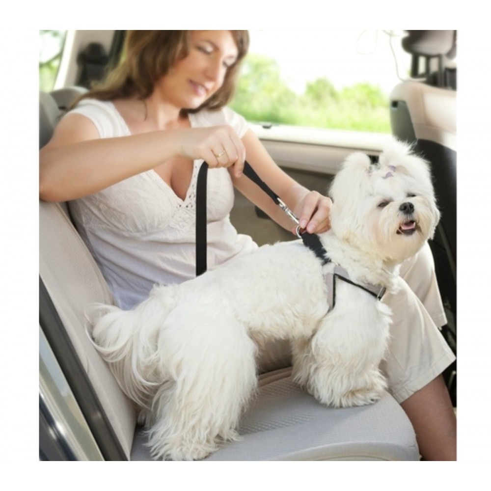 Correa con gancho para cinturón de seguridad...