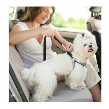 Correa con gancho para cinturón de seguridad autoproteccion de animales
