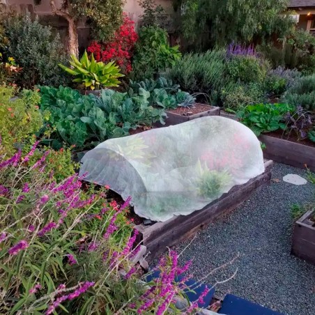 Rollo 15mt de cobertor Fitosanitario para jardinería de Polipropileno