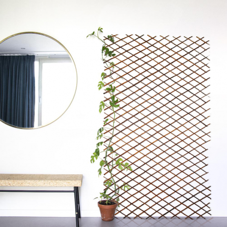 Valla de madera extensible de 35 a 262 cm celosía decorativa para plantas