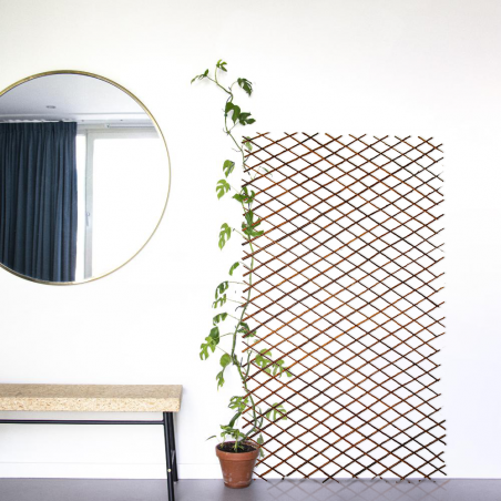 Valla de madera extensible de 35 A 180 cm celosía decorativa para plantas
