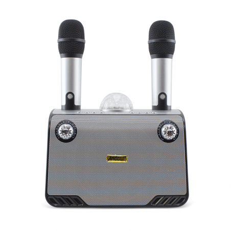Karaoke altavoz inalámbrico Bluetooth 714386 Altavoz portátil con 2 micrófonos