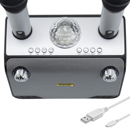 Karaoke altavoz inalámbrico Bluetooth 714386 Altavoz portátil con 2 micrófonos