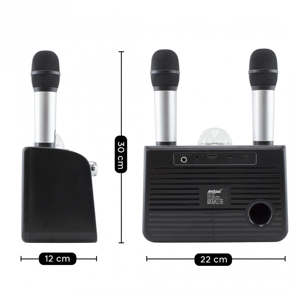Karaoke altavoz inalámbrico Bluetooth 714386...