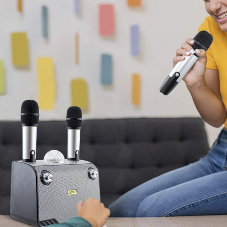 Karaoke altavoz inalámbrico Bluetooth 714386 Altavoz portátil con 2 micrófonos