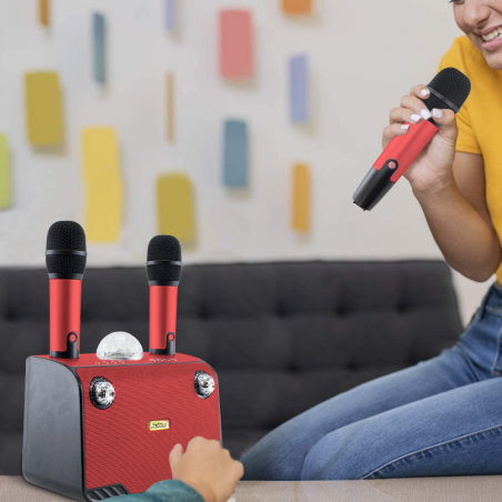 Karaoke altavoz inalámbrico Bluetooth 714386 Altavoz portátil con 2 micrófonos