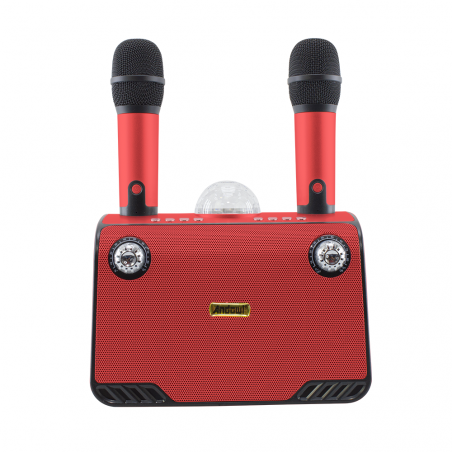 Karaoke altavoz inalámbrico Bluetooth 714386 Altavoz portátil con 2 micrófonos