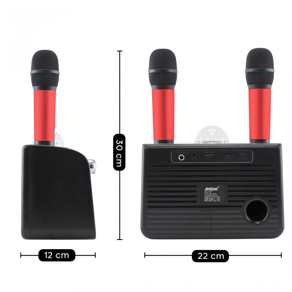 Karaoke altavoz inalámbrico Bluetooth 714386...