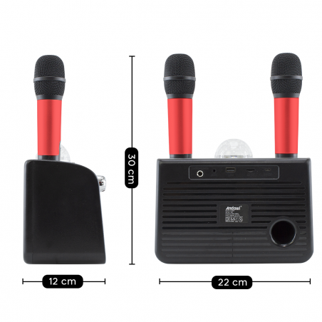 Karaoke altavoz inalámbrico Bluetooth 714386 Altavoz portátil con 2 micrófonos