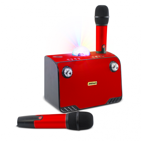 Karaoke altavoz inalámbrico Bluetooth 714386 Altavoz portátil con 2 micrófonos