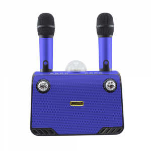 Karaoke altavoz inalámbrico Bluetooth 714386 Altavoz portátil con 2 micrófonos