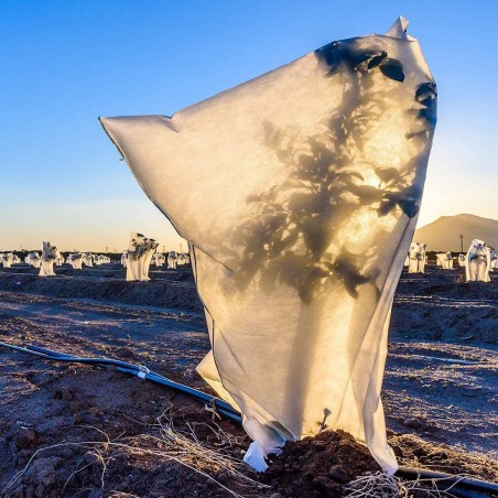 2 pz Capuchas para plantas TNT 100X80 bolsa anticongelante cubierta para plantas