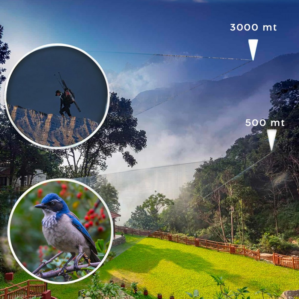 Prismáticos profesionales compactos 10x25 30012...