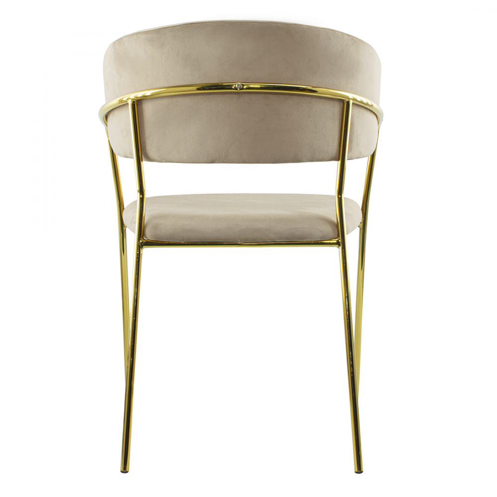 Conjunto 2 Sillas de comedor DAFNE sillón de...