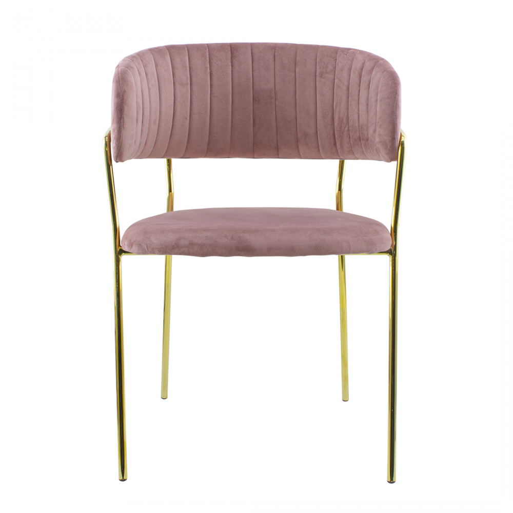 Conjunto 2 Sillas de comedor DAFNE sillón de...