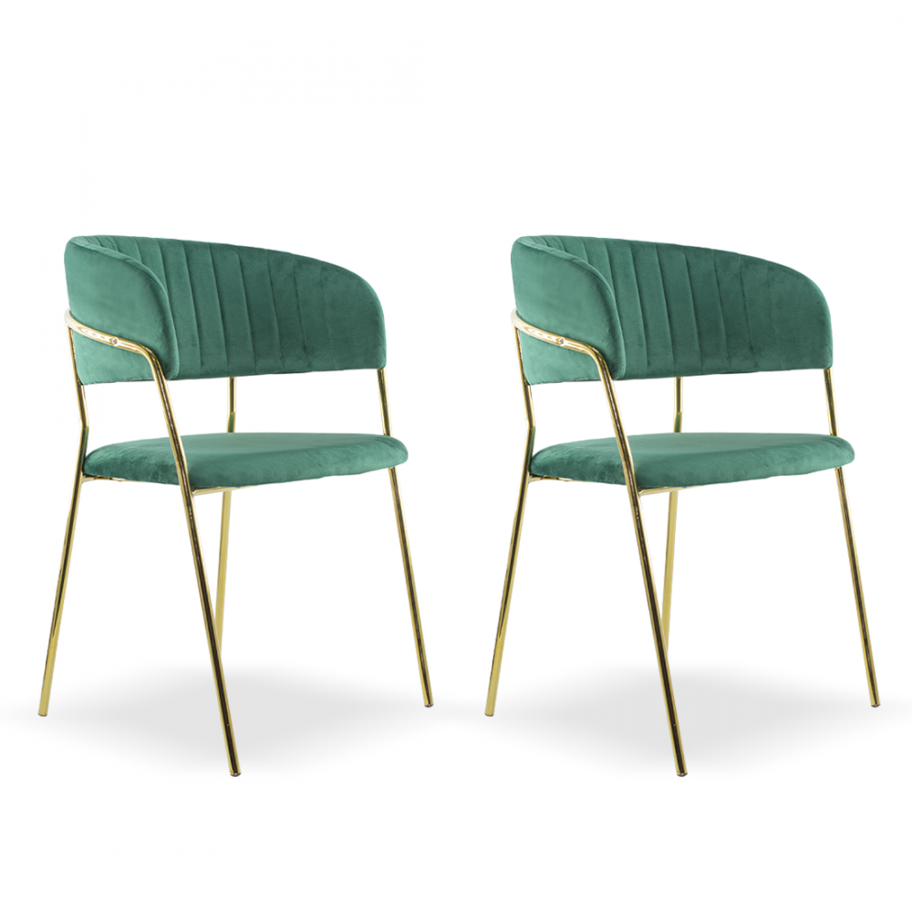 Conjunto 2 Sillas de comedor DAFNE sillón de...