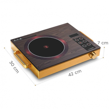 Placa inducción eléctrica portátil de 2200 W con controles táctiles pantalla LED