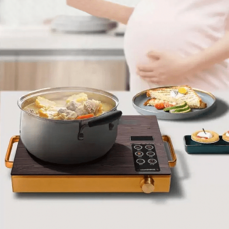 Placa inducción eléctrica portátil de 2200 W con controles táctiles pantalla LED