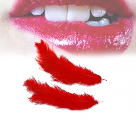 Set de 3 juguetes para sexo sadomasoquista HOT SET 748909 (incluye plumas + máscara + esposas) color rojo