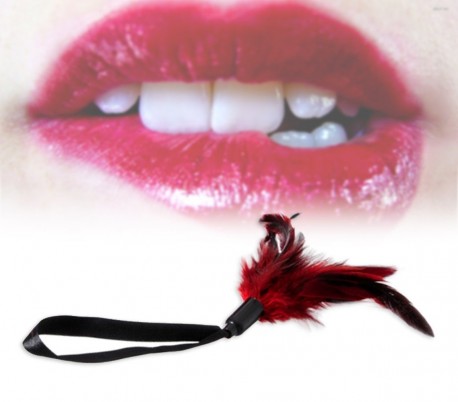 Set de 4 juguetes para sexo sadomasoquista BONDAGE PREMIUM 748908 (incluye pluma + máscara + esposas) color rojo