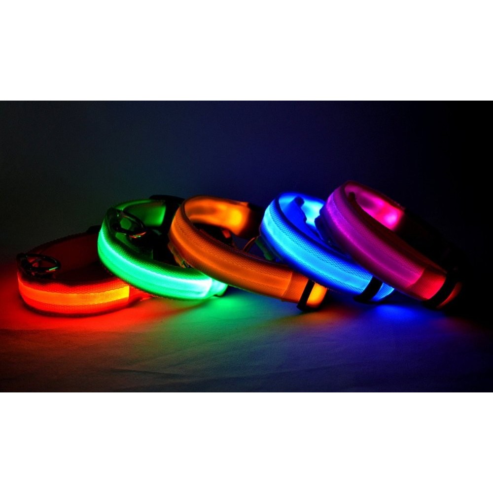 Collar ajustable LED para perros y gatos diferentes colores y tamaños