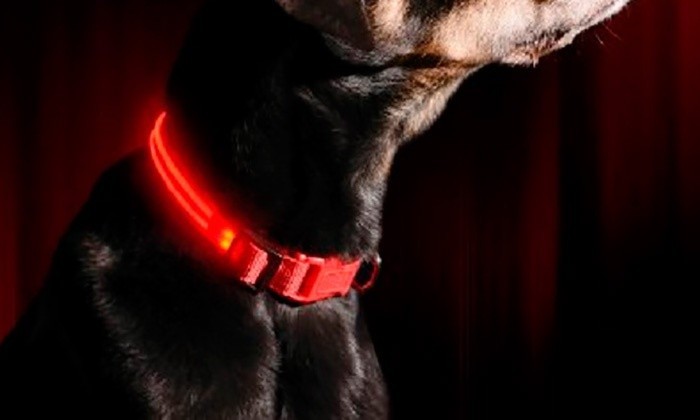 Collar ajustable LED para perros y gatos diferentes colores y tamaños - Imagen 21 de 30