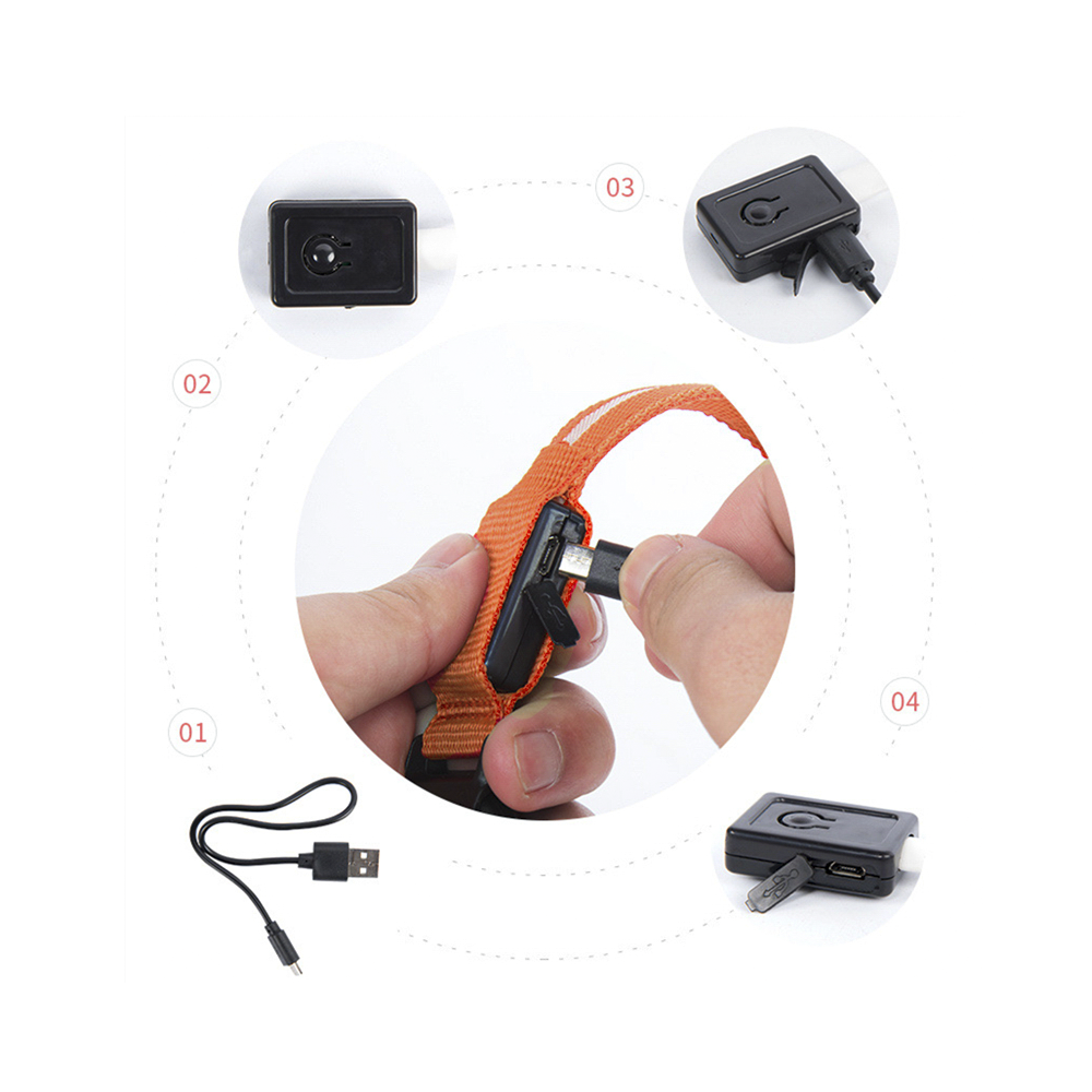 Collar ajustable LED para perros y gatos...