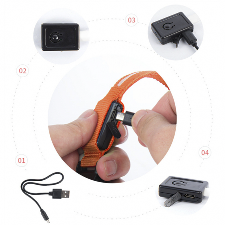 Collar ajustable LED para perros y gatos diferentes colores y tamaños