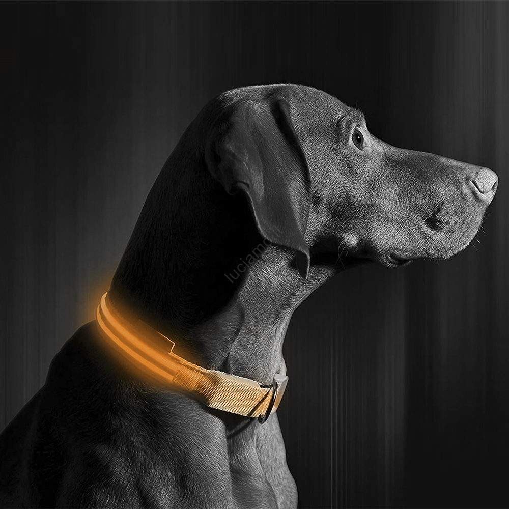 Collar ajustable LED para perros y gatos diferentes colores y tamaños - Imagen 30 de 30