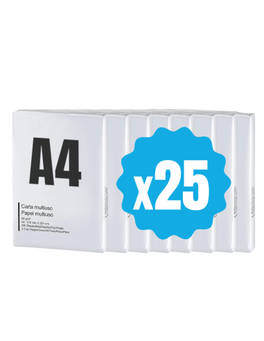 42757 Pack 25 paquetes de papel formato A4 500 hojas 80 g Eins Universal Copy