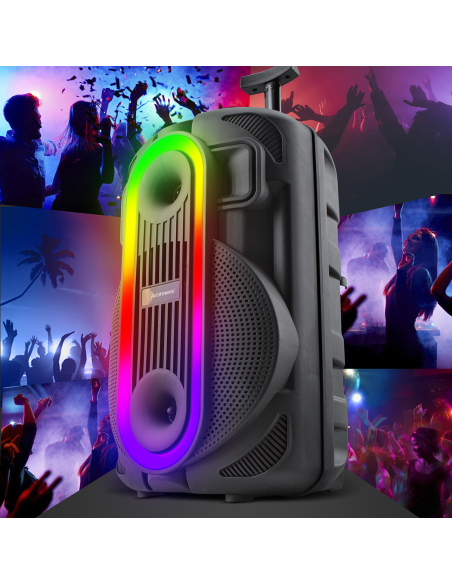Altavoz portátil Bluetooth Subwoofer con Aux, TF, USB, Radio FM y Micrófono