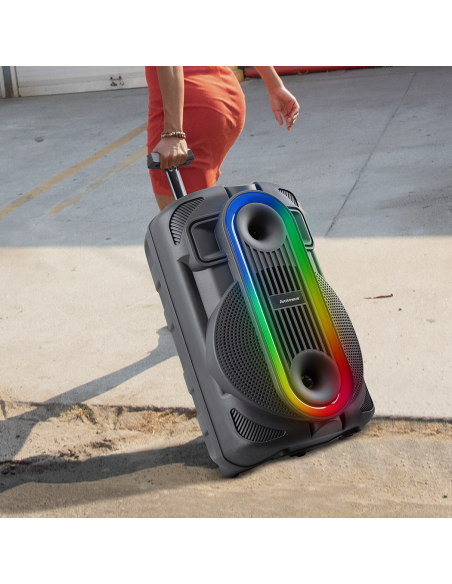 Altavoz portátil Bluetooth Subwoofer con Aux, TF, USB, Radio FM y Micrófono