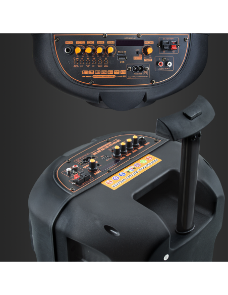 Altavoz portátil Bluetooth Subwoofer con Aux, TF, USB, Radio FM y Micrófono