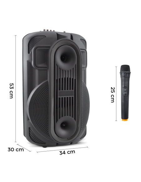 Altavoz portátil Bluetooth Subwoofer con Aux, TF, USB, Radio FM y Micrófono