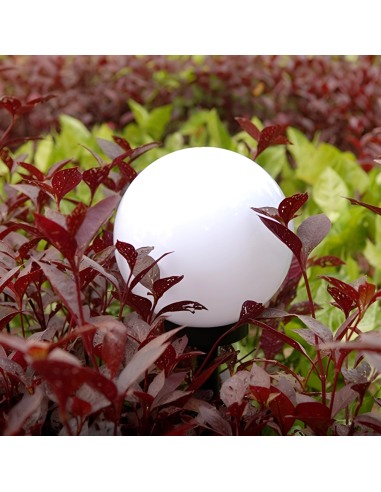 Kit 2 unidades Lámpara Esférica Recargable...