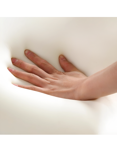 2 Almohada Espuma Viscoelástica Aroma Fresco...